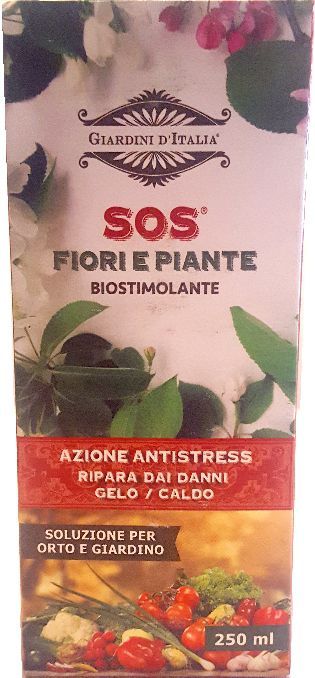 sos-fiori-e-piante-cartone-pic.jpg